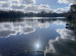 Photo 25- click for photo gallery